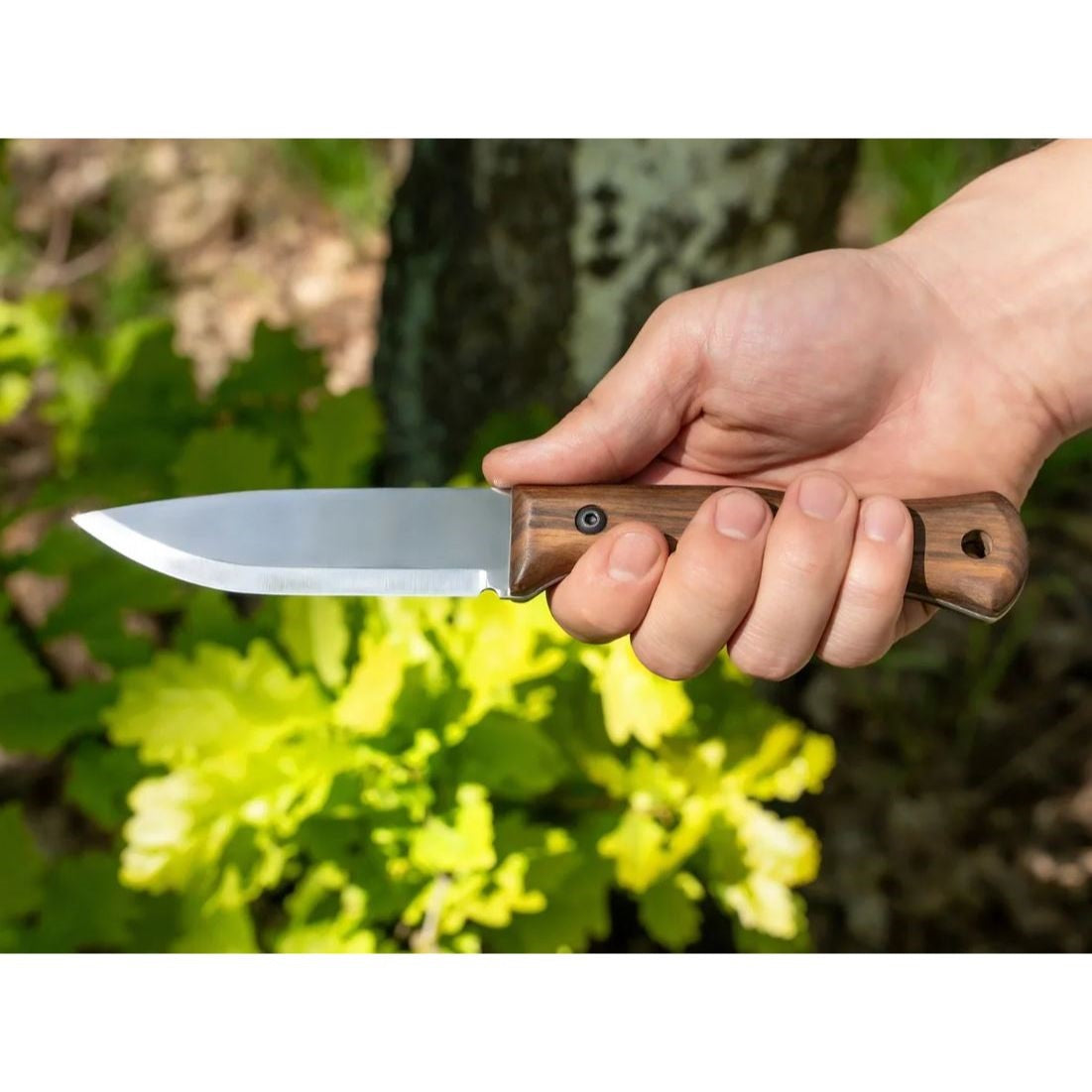 BeaverCraft Bushcraft Knife with Walnut Handle - Breeze BSH6