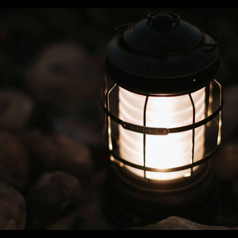 Barebones Forest Lantern Bronze