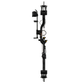 Bear Species EV Compound Hunting Bow