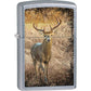 Zippo Lighter - Whitetailed